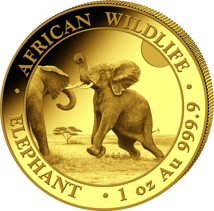 1 Unze Gold Somalia Elefant 2024
