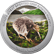 1 Unze Silber Kiwi 2024 PP (Auflage: 2.500 | coloriert | Polierte Platte)