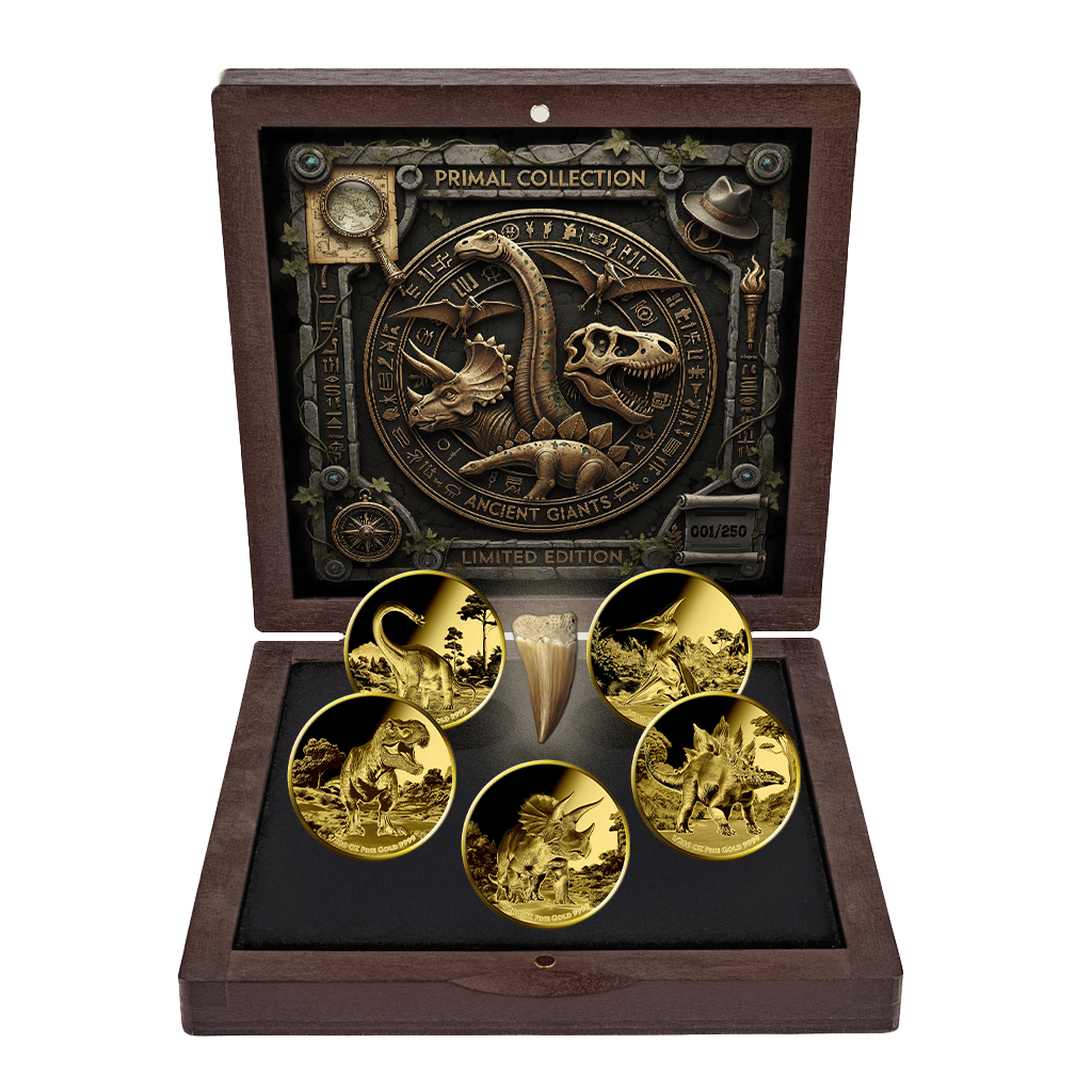Primal Collection, image