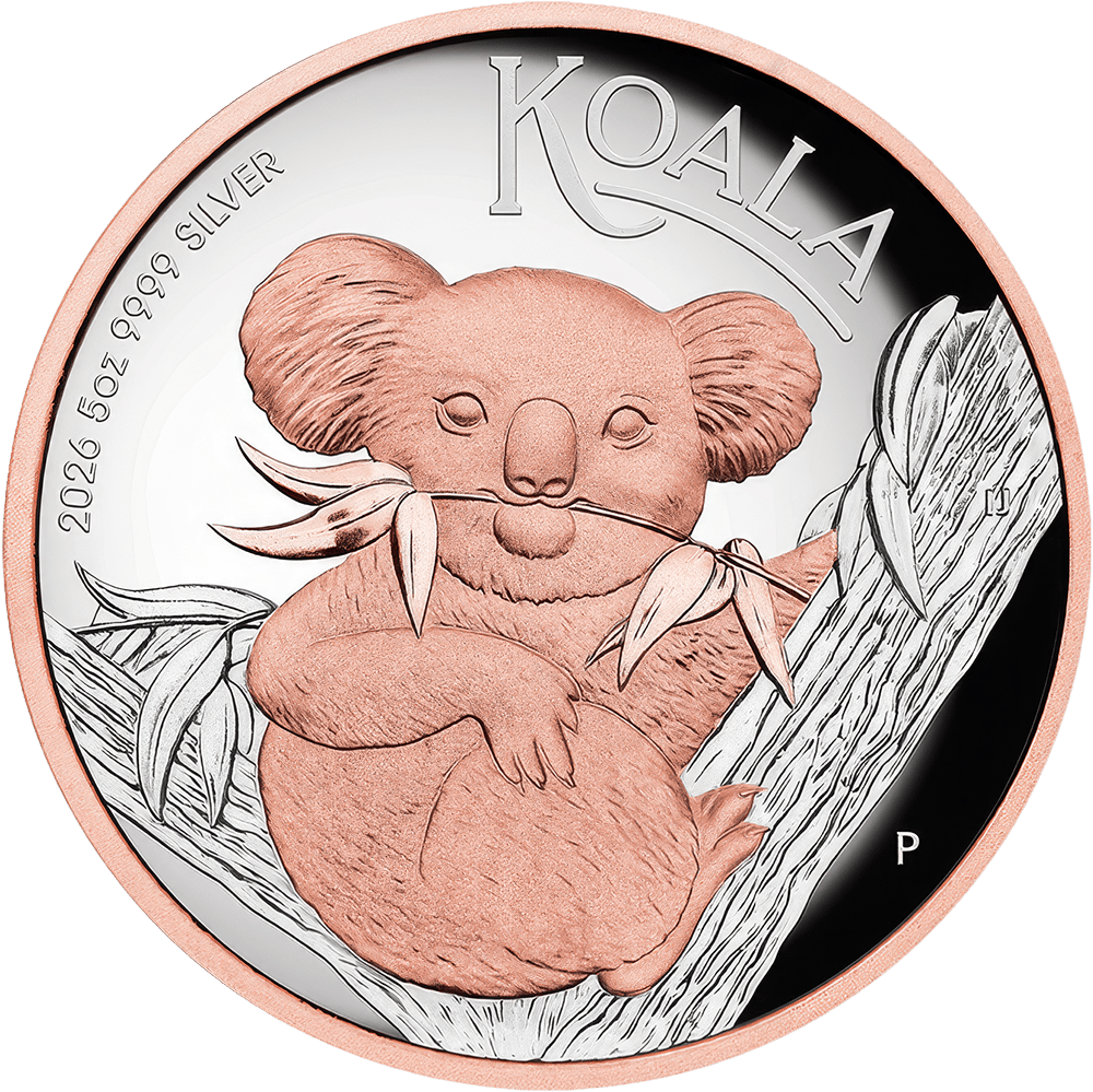 Koala, 5 oz