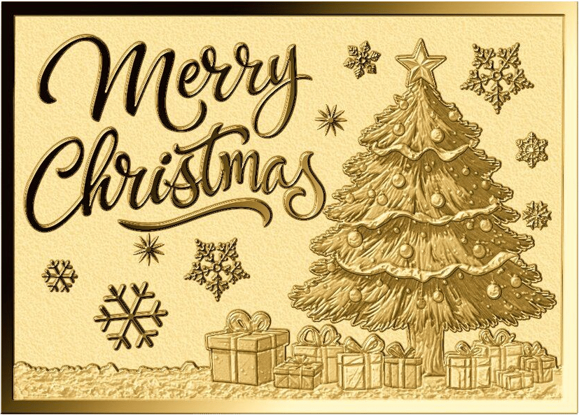 Merry Christmas gold coin · Picture side