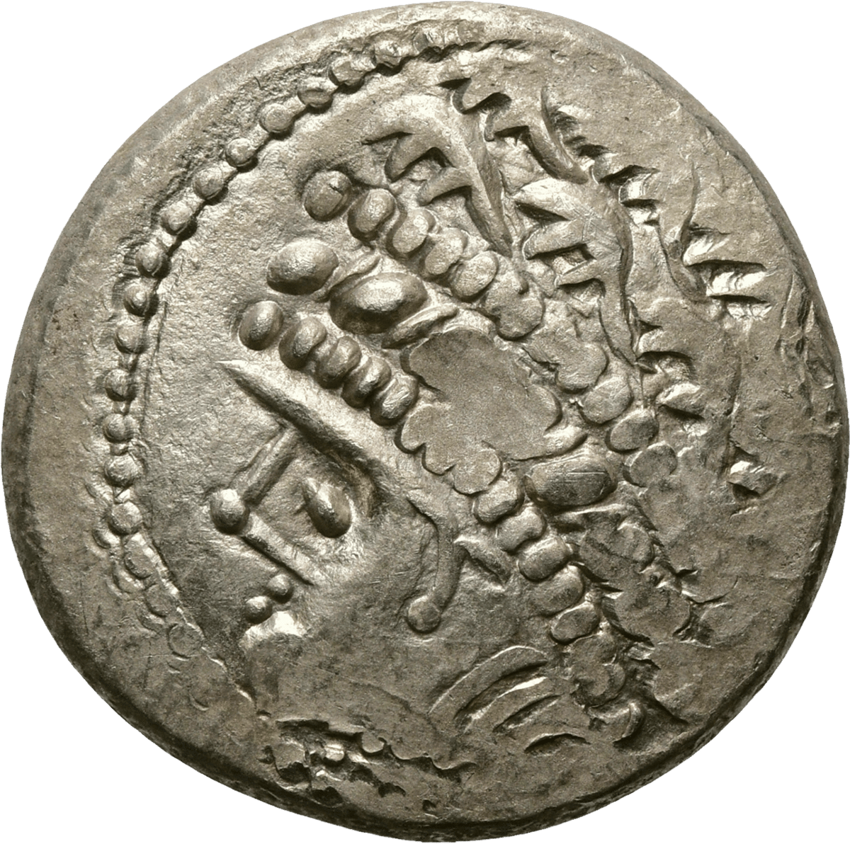 Tetradrachm of the Taurisci · head side