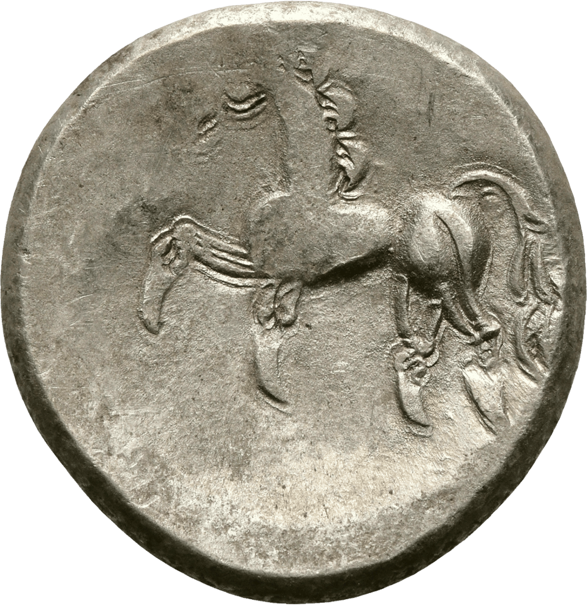 Tetradrachm of the Taurisci · horse side