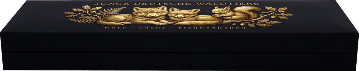 German Baby Forest Animals 3-coin gold set 2026 · Closed black case with a gold relief