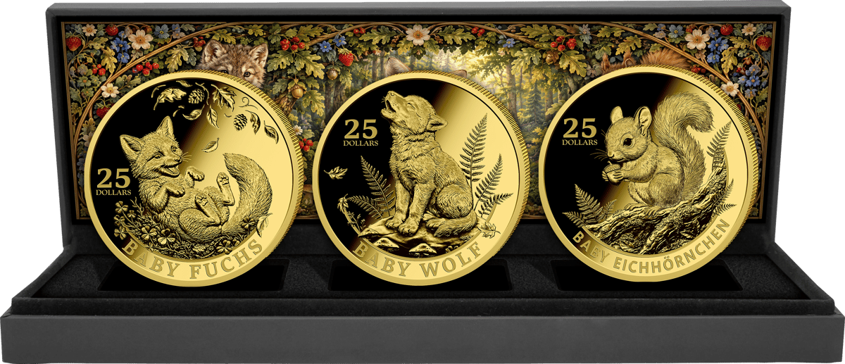 German Baby Forest Animals 3-coin gold set 2026 · Fox, wolf and squirrel in the case in front of the forest scene