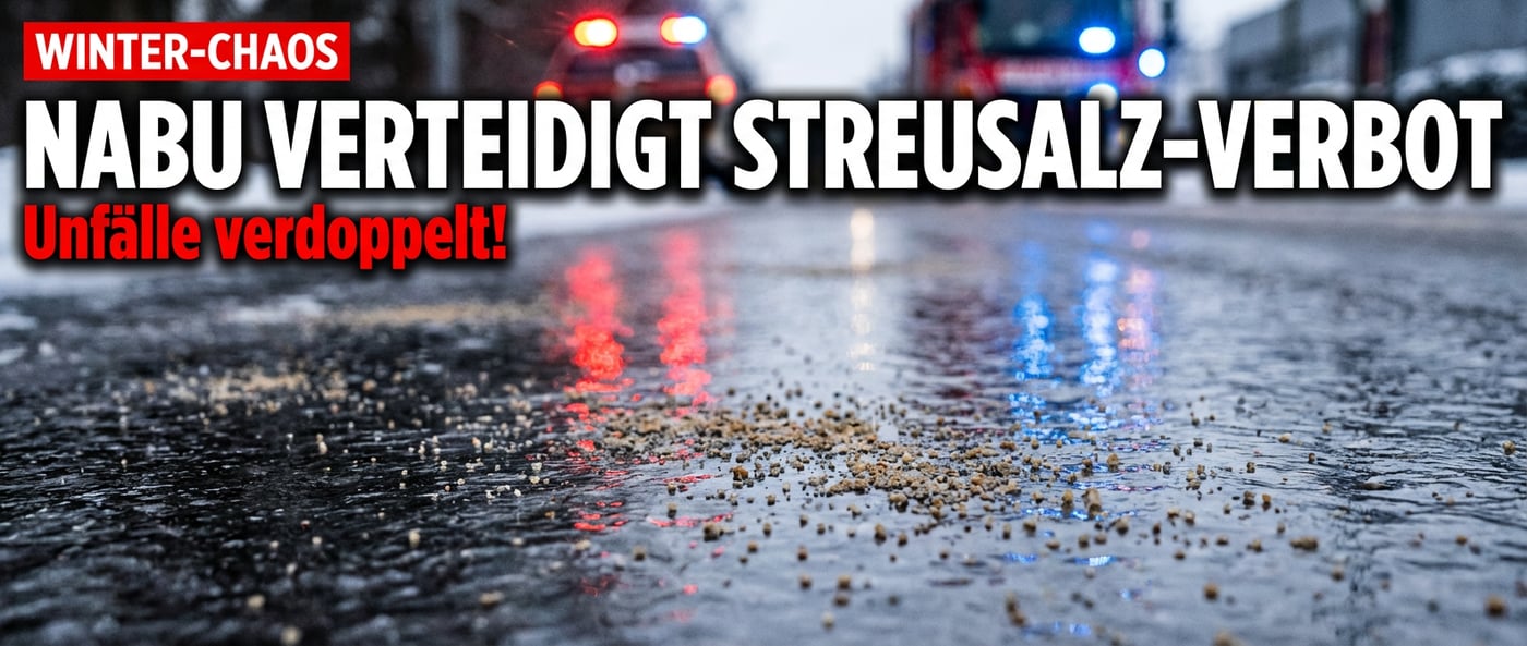 Berliner Nabu verteidigt Streusalz-Klage: Verdoppelte Rettungseinsätze sind für den Verband „relativ normal"