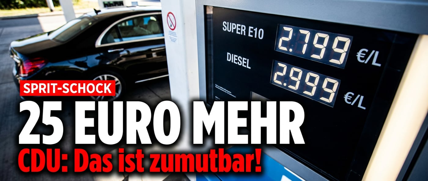 CDU-Abgeordneter erklärt Bürgern, dass 25 Euro mehr pro Tankfüllung „zumutbar" seien – vom Steuerzahler alimentiert