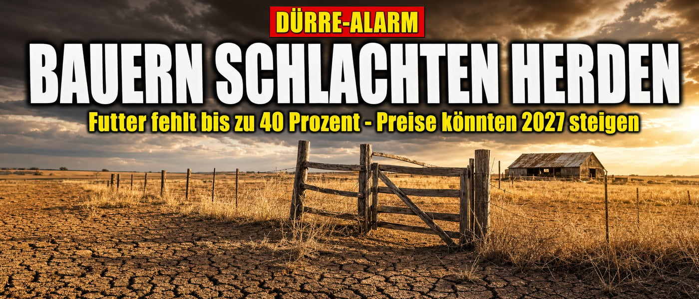 Dürre-Schock: Bauern schlachten Herden – Preis-Hammer 2027?