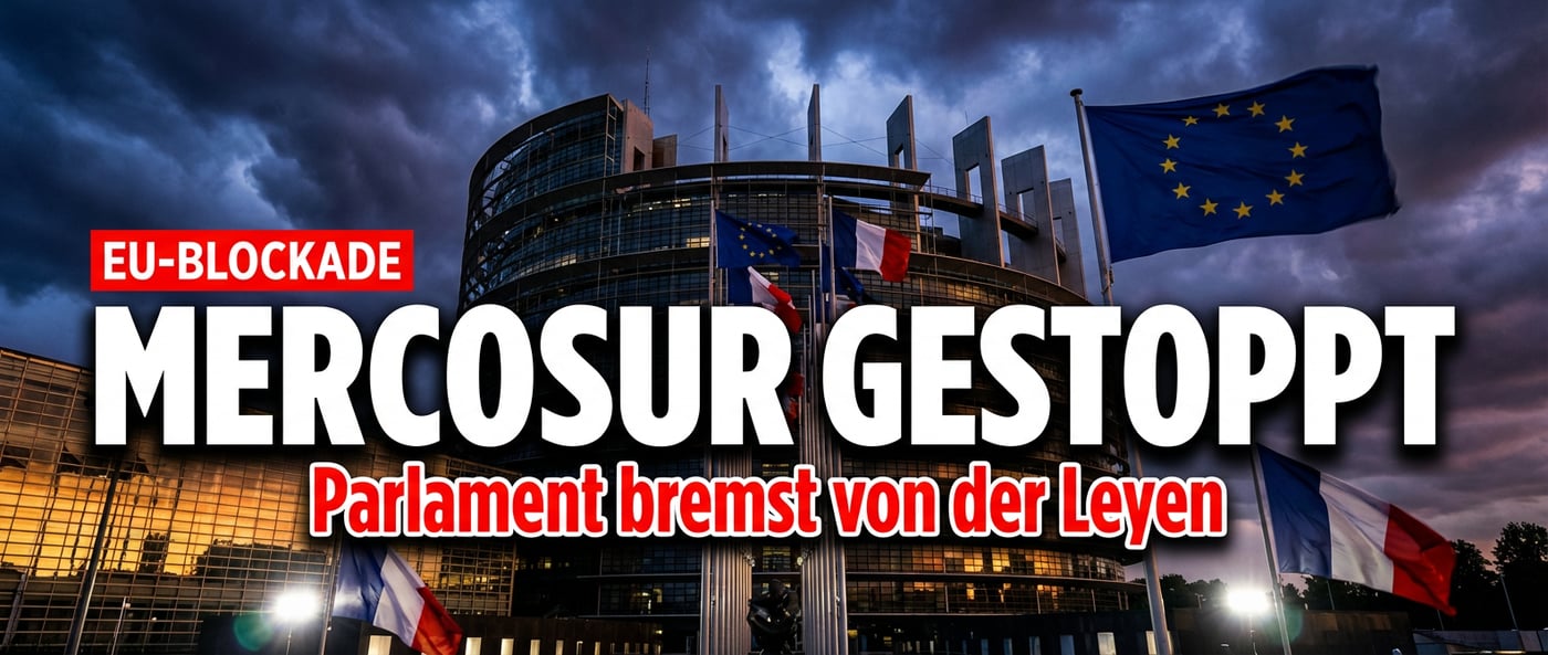 Mercosur-Abkommen auf Eis: EU-Parlament bremst von der Leyens Prestigeprojekt aus