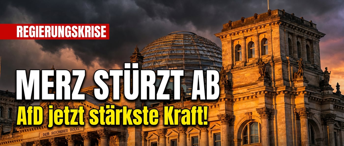 Merz-Regierung im freien Fall: AfD überholt Union erneut in der Wählergunst