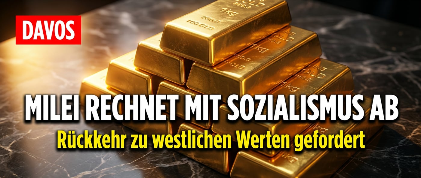 Milei rechnet in Davos mit dem Sozialismus ab und fordert Rückkehr zu westlichen Werten