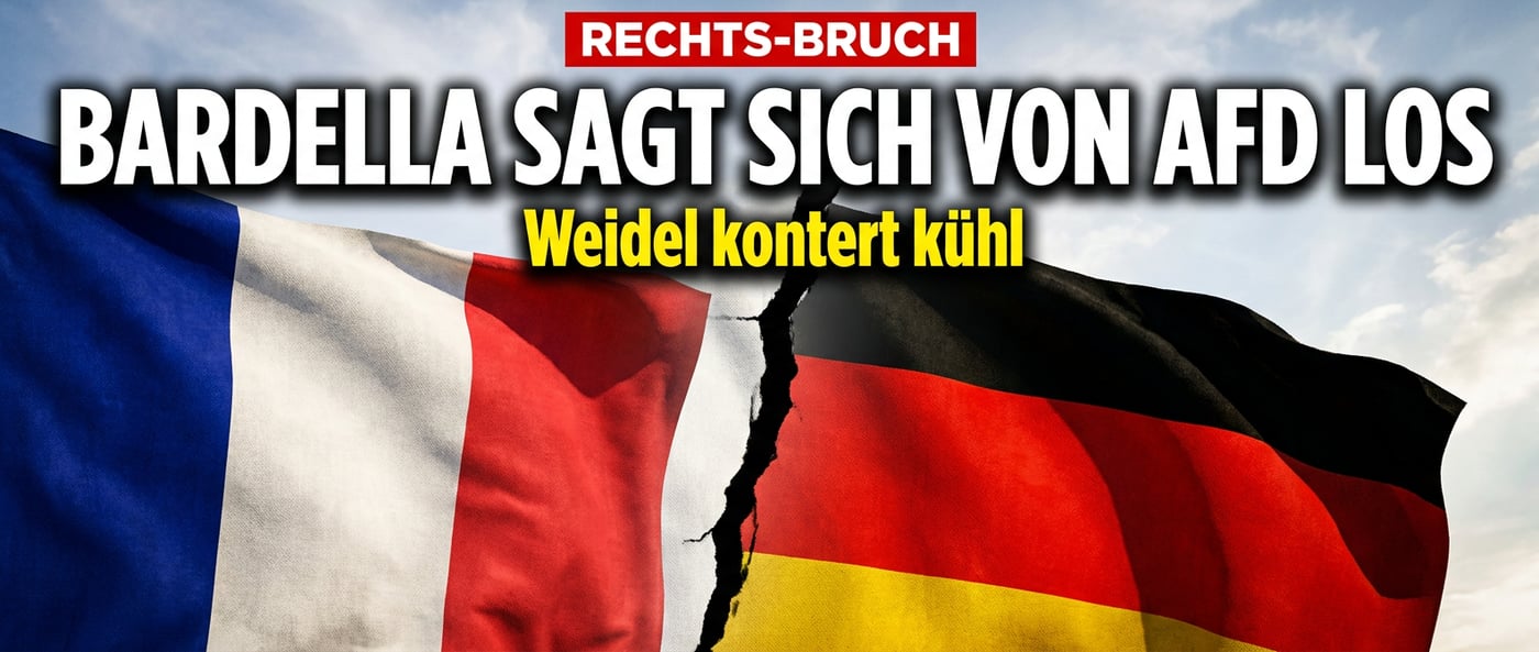 Pariser Distanzierung: Bardella geht auf Abstand zur AfD – Weidel kontert kühl