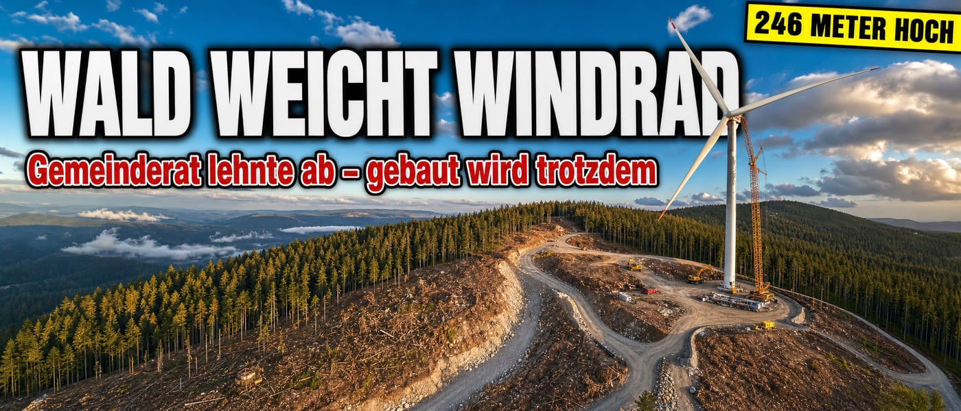 Wald weg für zwei Windräder: 246 Meter hoch – Gemeinde überstimmt
