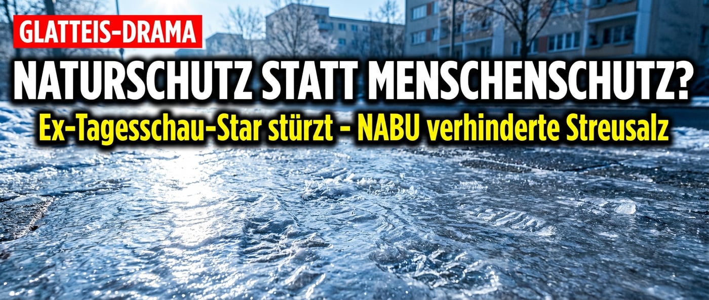 Wenn Naturschutz zur Gefahr wird: Ex-Tagesschau-Sprecher stürzt auf Berliner Eisgehweg