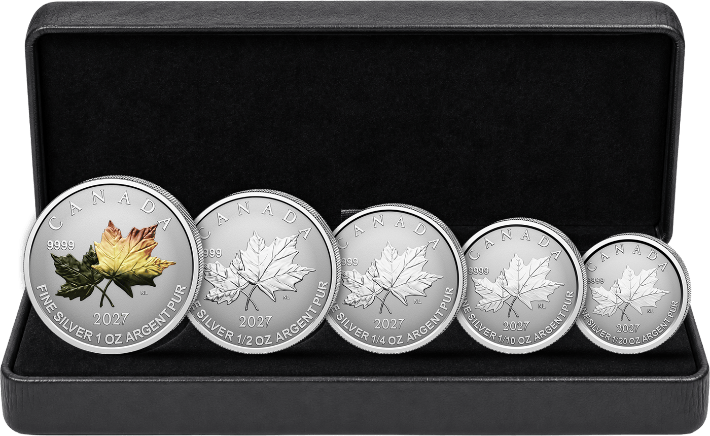 5 silver coins · Five coins in their case