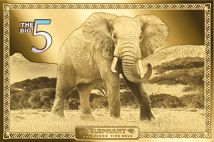 Gold Big Five Set 2023 (Auflage: 499)