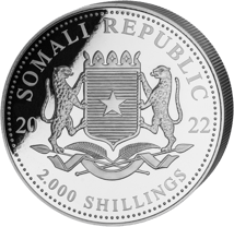 1 kg Silber Wildlife Leopard 2022 (Auflage: 500)