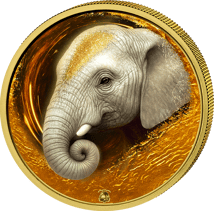 1 Unze Silber Afrikanische Tierbabys Elefant 2025 (Auflage: 100 | teilvergoldet)
