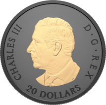 1 Unze Silber Gilded Elegant Maple Leaf 2025 (Auflage: 5.500 | Rhodium | teilvergoldet | Matte Proof)