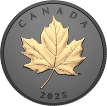 1 Unze Silber Gilded Elegant Maple Leaf 2025 (Auflage: 5.500 | Rhodium | teilvergoldet | Matte Proof)