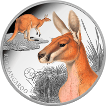 1 Unze Silber Rotes Känguru 2026 (Auflage: 750 | Privy Mark | Polierte Platte)