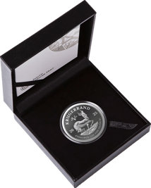 1 Unze Silber Krügerrand VE-Day Privy Mark 2025 (Auflage: 1.180 | Polierte Platte)
