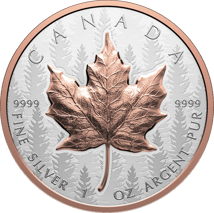 1 Unze Silber Maple Leaf 2025 (Auflage: 8.500 | High Relief | teilvergoldet | Reverse Proof)