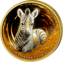1 Unze Silber Afrikanische Tierbabys Zebra 2025 (Auflage: 100 | teilvergoldet)