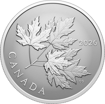 1/2 Unze Silber Gleaming Maple Leaves 2026 (Auflage: 25.000 | Reverse Proof)