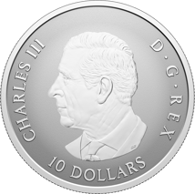 1/2 Unze Silber Gleaming Maple Leaves 2026 (Auflage: 25.000 | Reverse Proof)