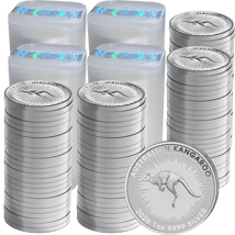 100 x 1 Unze Silber Känguru Nugget 2026