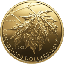 5 Unze Gold Maple Leaf 2017 PP (99 Exemplare)
