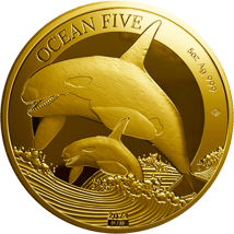 5 Unze Gold Ocean Five Orca 2024 PP (Auflage: 33 | Polierte Platte | Zertifikat Nr. 01)