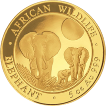 5 Unze Gold Somalia Elefant 2014 PP