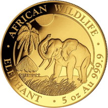 5 Unze Gold Somalia Elefant 2017 PP (Auflage: 50 Münzen)