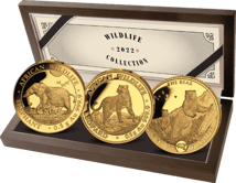 Gold African Wildlife Set 2022 PP (3 x 0,5g | Auflage: 1.000 | Polierte Platte)
