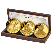 Gold African Wildlife Set 2025 (Auflage: 1.000 | 3 x 0,5 g | Polierte Platte)