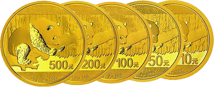 Gold China Panda 2016 Komplettsatz (10 - 500 Yuan)