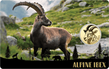 Gold Alpensteinbock Münze (Auflage: 50.000)
