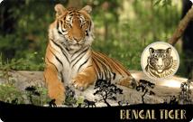 Gold Bengalischer Tiger Münze (Auflage: 50.000)