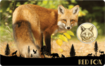 Gold Fuchs Münze (Auflage: 50.000)