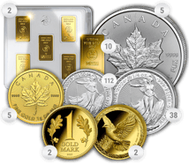 Gold Webinar Paket M