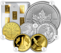 Gold Webinar Paket S