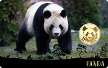 Gold Panda Münze (Auflage: 50.000)