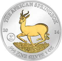 Silber Springbock Set 2014-2016