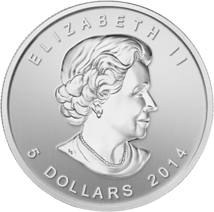 1 Unze Silber Birds of Prey Bald Eagle (Weißkopfseeadler) 2014