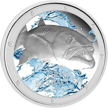 1 Unze Silber Barracuda PP 2015 (coloriert | in Dose)