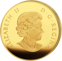 1 Unze Maple Leaf Reflection PP 2015 (Auflage: 350 Stück)