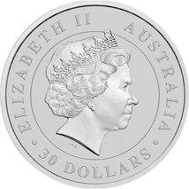 1kg Silver Koala 2017