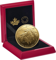 5 Unze Gold Maple Leaf 2017 PP (99 Exemplare)